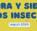 Marzo | Mira y siente los insectos