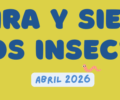 Abril | Mira y siente los insectos