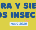 Mayo | Mira y siente los insectos