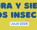 Julio | Mira y siente los insectos