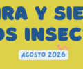Agosto | Mira y siente los insectos